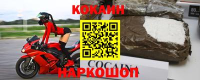 кокс Кингисепп