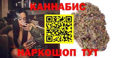 кокс Кингисепп