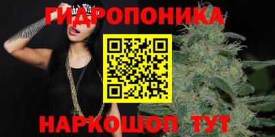 кокс Кингисепп