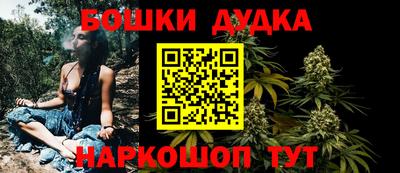 кокс Кингисепп