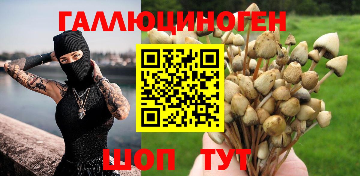 Псилоцибиновые грибы ЛСД  где продают   Ногинск  Вход с VPN 